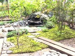 山の景色を庭に取り込む