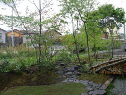 里山に自生する樹種を植えた庭