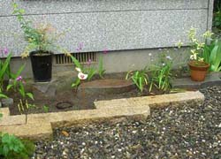 庭の縁石を植木鉢の台に