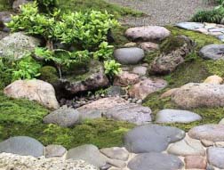降り蹲踞風の沢の清水