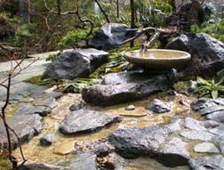 里山の沢水を模した流れ