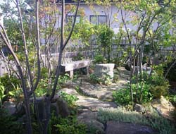 山の中腹でお茶を