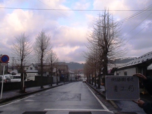 剪定前の街路の風景