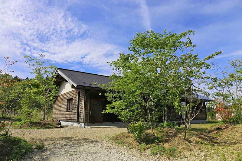 雪解け後の春の庭