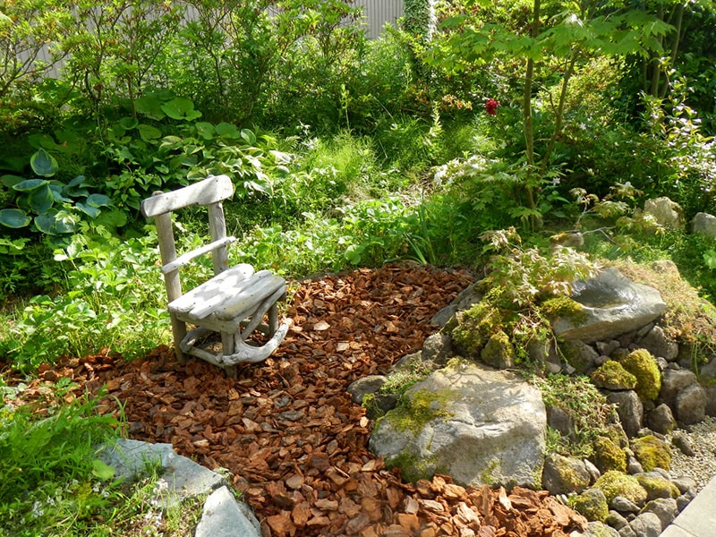 イチゴ畑の前の椅子 イチゴ畑の前にいすを置き、木蔭と木漏れ日を楽しむ