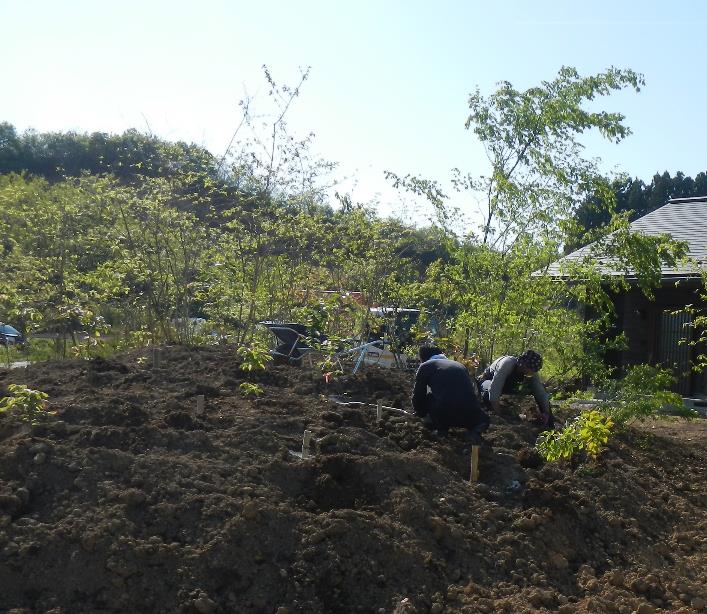 家族で小さな苗木を植える