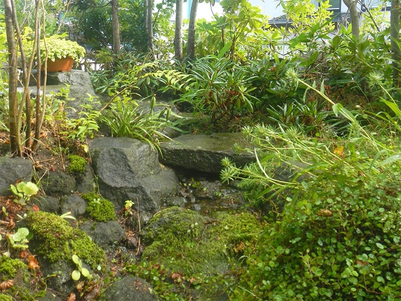 渓谷のような雰囲気の回遊する庭