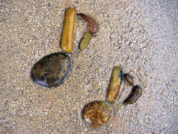 ご家族がこれまで育ててこられた季節の草花たち。棚田式に石を積み、花々たちのためのステージを作った庭