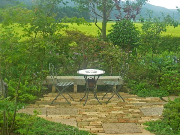 見どころを三和土の小道で繋いだテラスのある庭