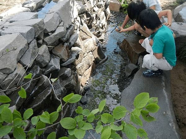 石壁から滲み出た水が流れになる水の庭