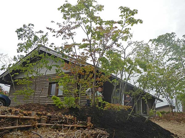 里山にある家に、里山にある樹木を植えた、山に還る庭。