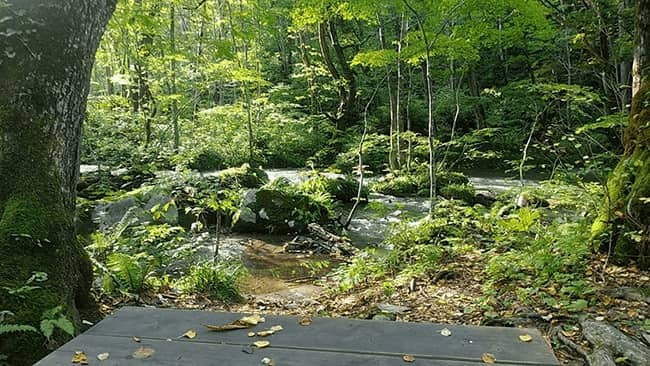 秋田県能代市 住宅庭園 露地 設計施工管理 福岡造園