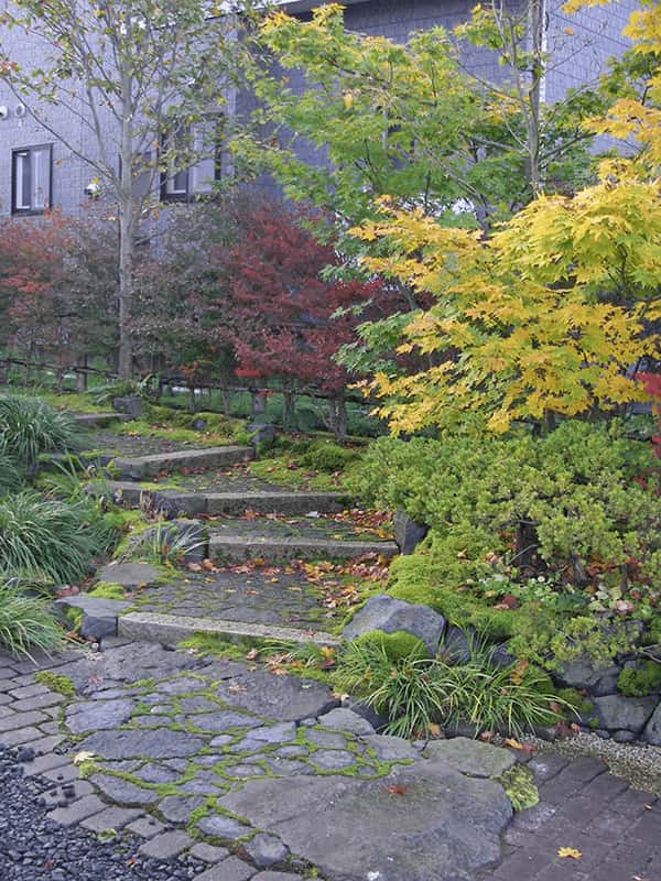 石を覆い隠す苔