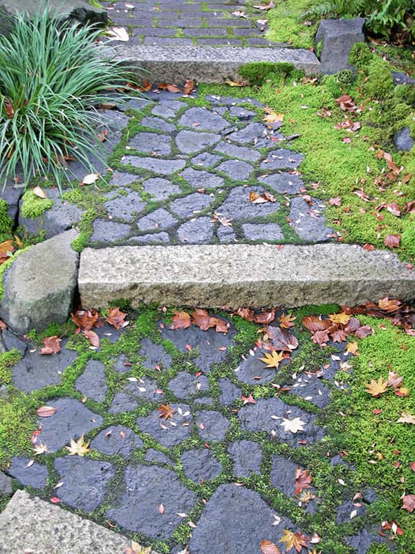 秋のアプローチ