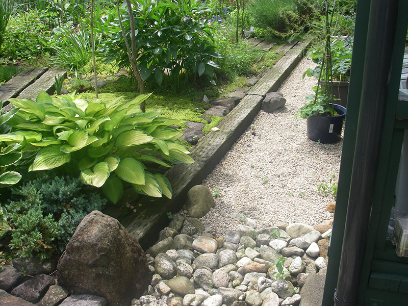 葉の形や色の組み合わせが互いを引き立て合う花壇