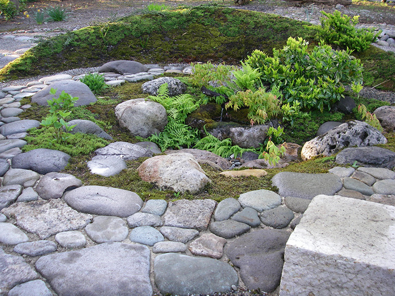 降り蹲風の水場