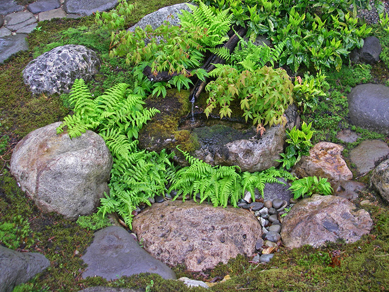 剪定した栗の枝の筧