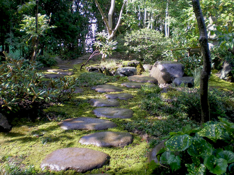 深山の木を植え山野草を下草に使った露地