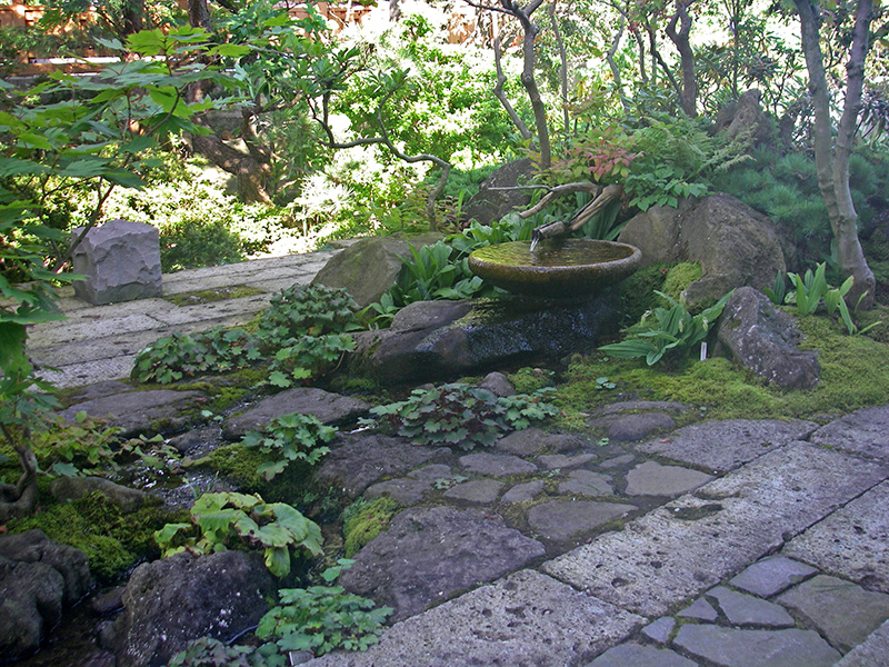 テラスを行く流れと山野草の庭