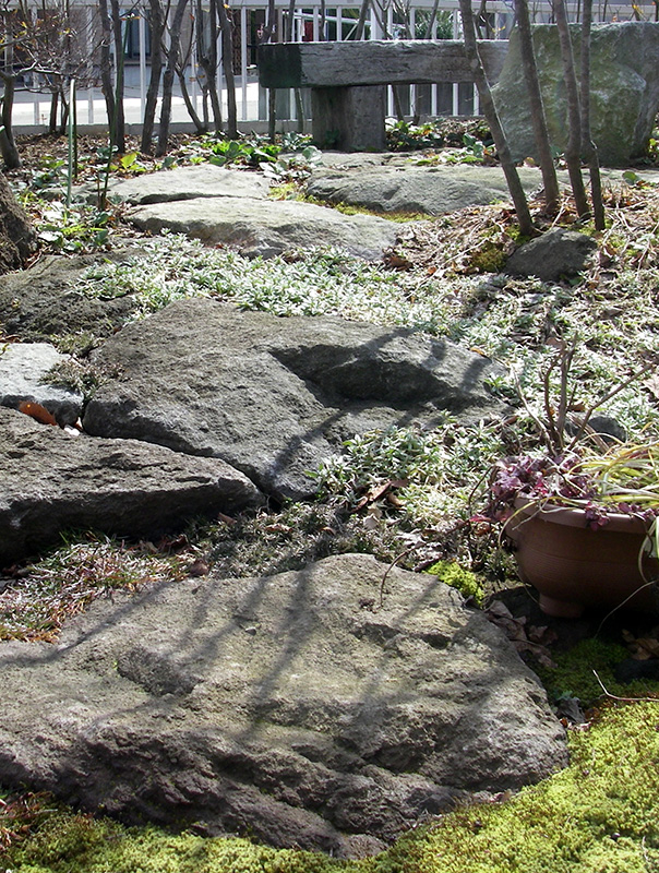 3月、早春の光が降る庭