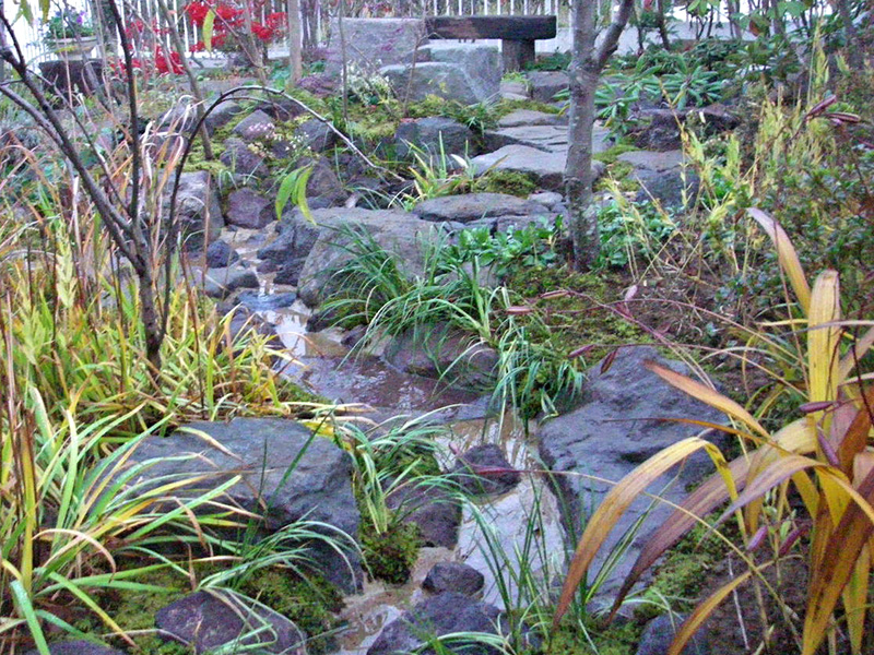 完成年の秋の庭