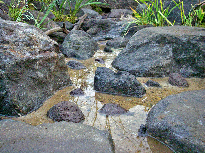 流れに映る木立
