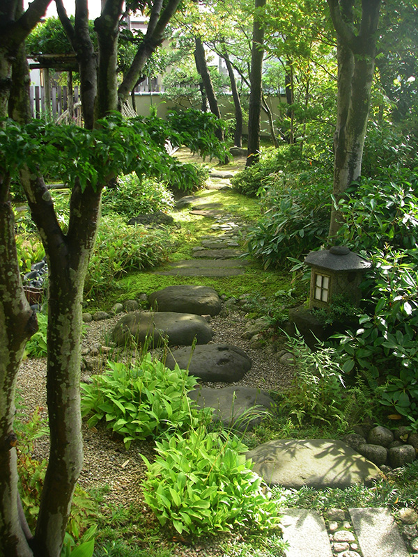 木漏れ日の伝いと寸松庵灯篭