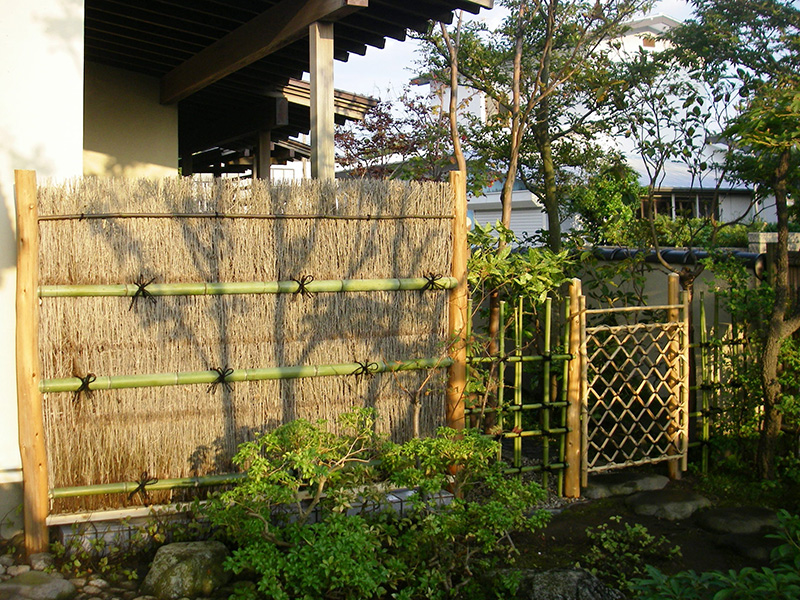 朝日が穂垣に梢を描く