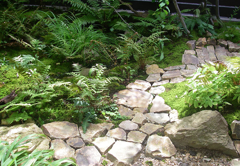 木漏れ日が降る水源