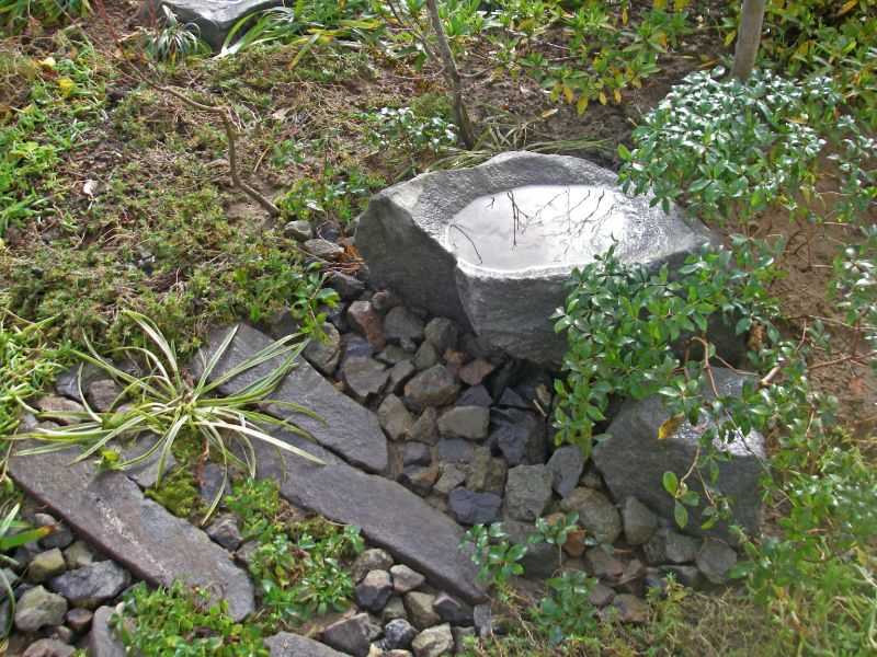 自然の石を割ったような水鉢。水面に庭の景色が映り込む

