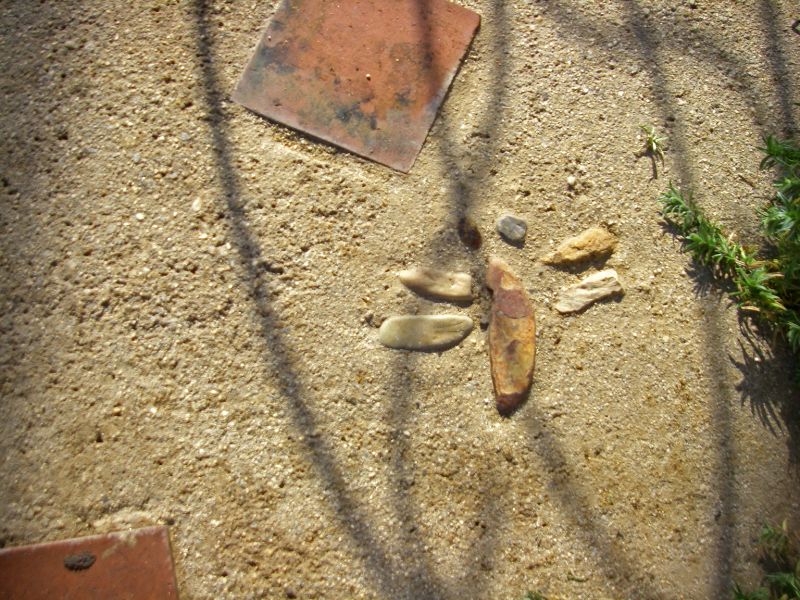 小石で作った三和土の中のトンボ