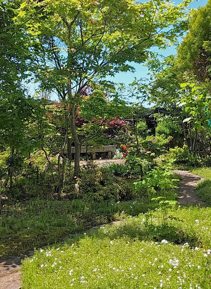 草木が茂る生き生きとした庭の景色