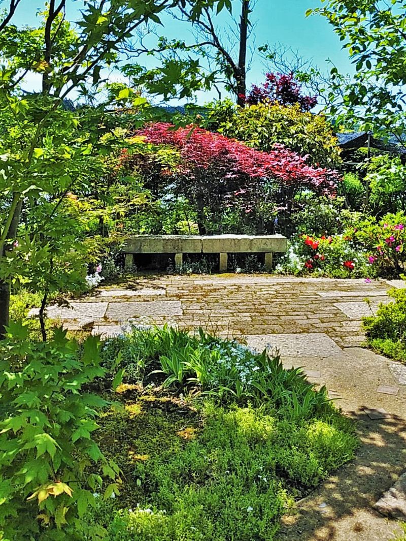 木陰からテラスに置かれ、花に囲まれた石のベンチを望む