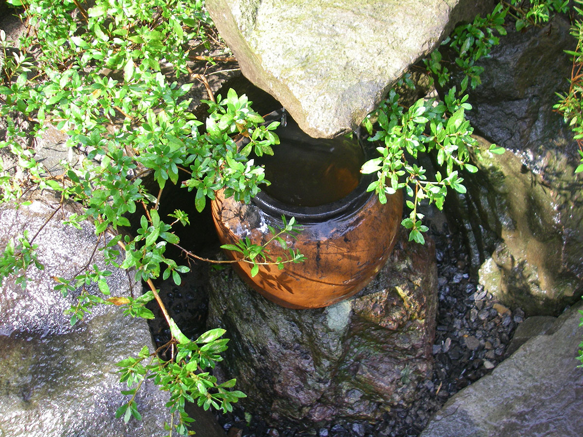 水鉢の景