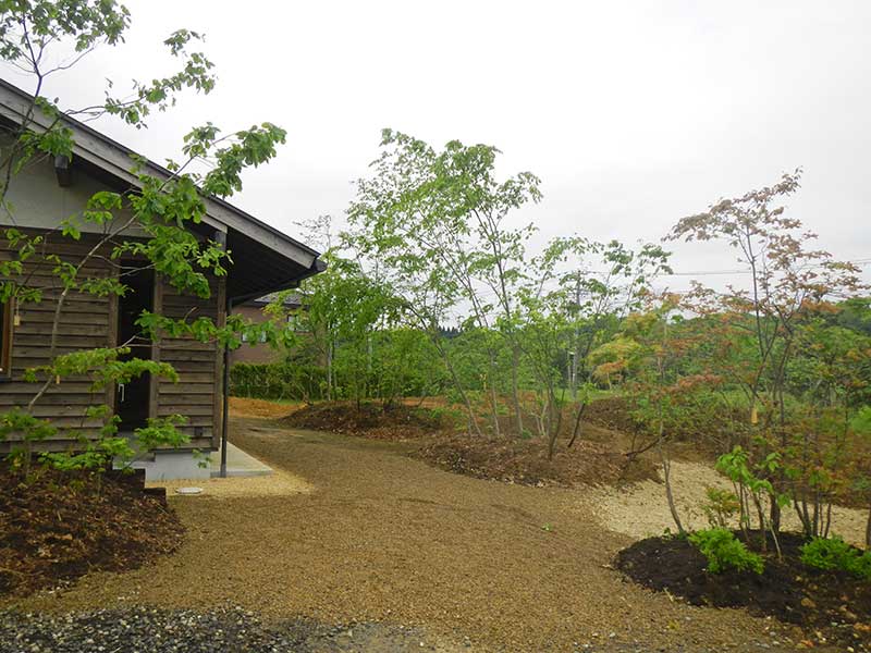 山の樹々を植えた里山の風情の庭
