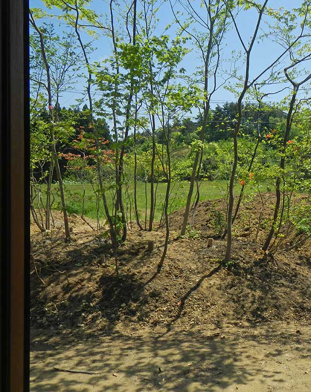 室内から見る盛り土をした二つの森