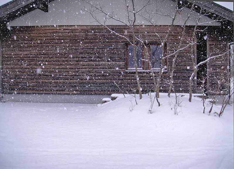 しんしんと降り続く雪