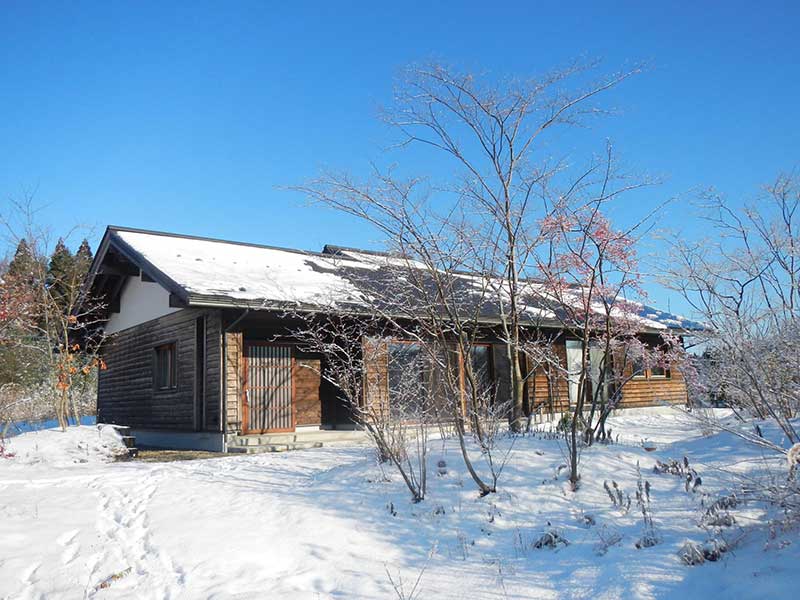 良く晴れた冬の日、雪景色の庭