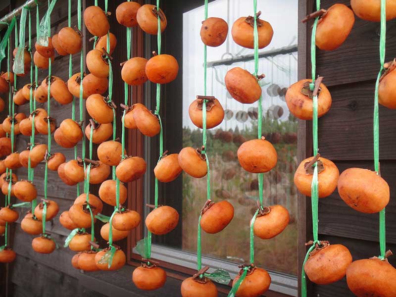 軒先に吊るされた干し柿