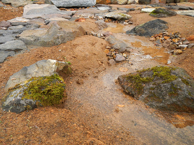 雨の日にだけ現れる山道の脇の野筋