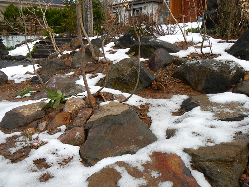 里山の雰囲気の庭