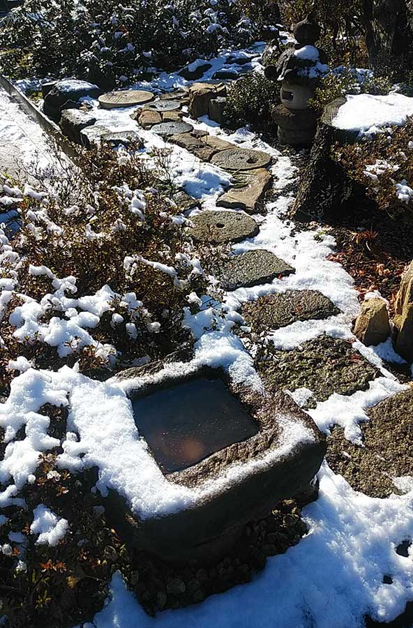 雪の日の小道