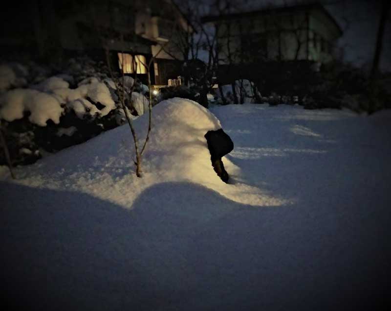 羊の綿帽子