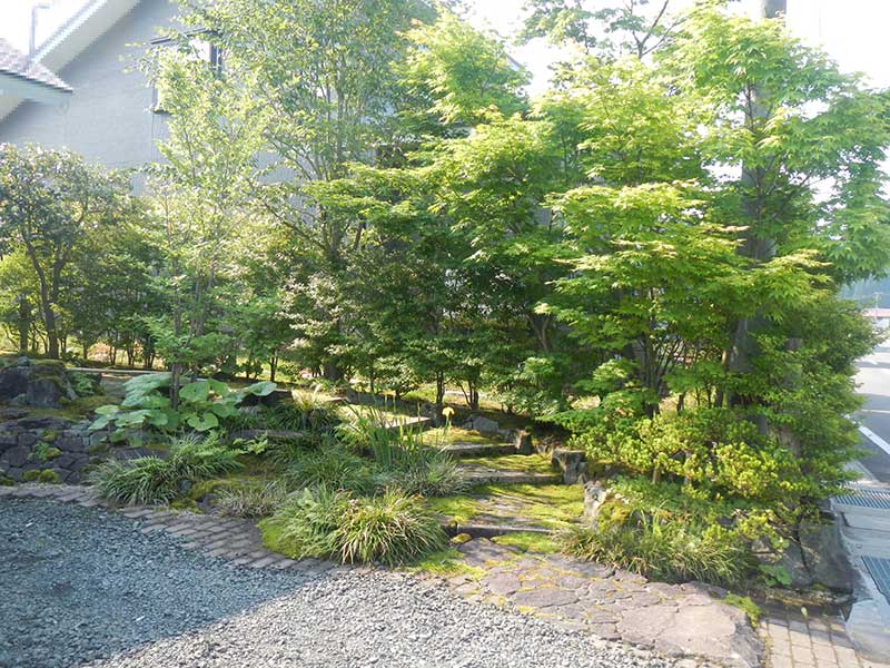 剪定で枝の方向を導き木陰を作った様々な樹種の目隠し垣