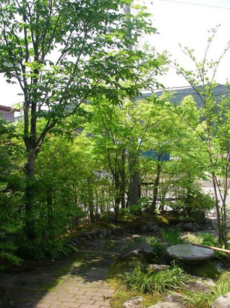 枝葉を適度に残し、真夏のアプローチに木陰をつくっている例